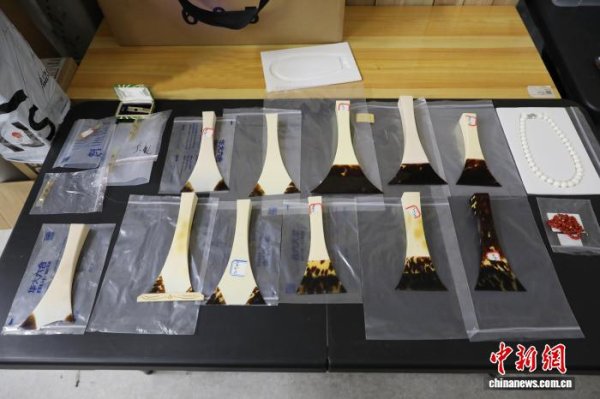 富裕配 浙江自然博物院将展出海关罚没水生濒危野生动物制品